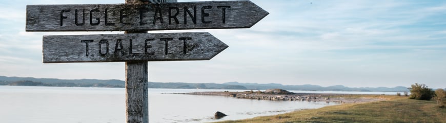 Øitangen, Jomfruland, mai 2024.