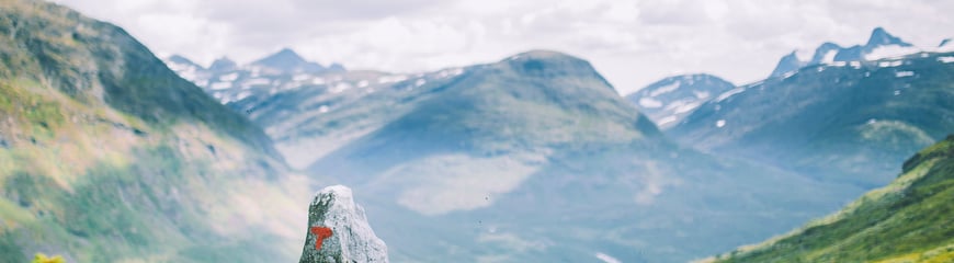 Andre uken av minutt for minutt gikk fem dager gjennom Jotunheimen. Bildet er fra turen fra Fannaråkhytta og ned til frodige Skogadalsbøen.