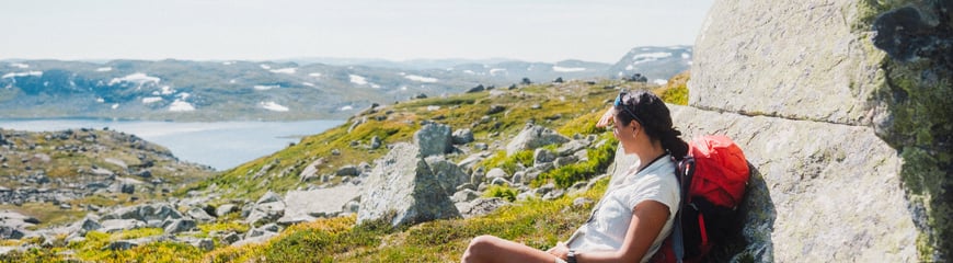 Krækkja, sommer