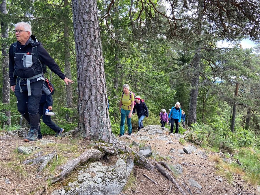 Det er i motbakke det går oppover