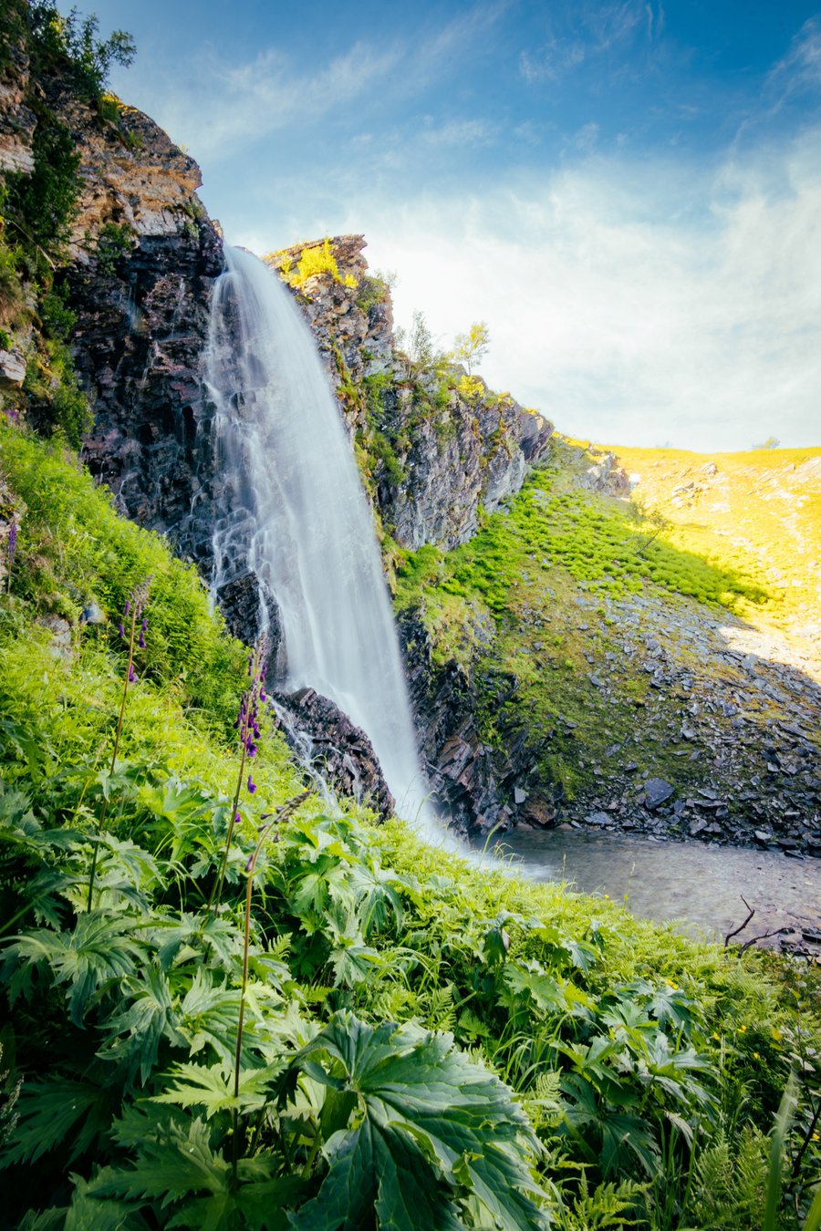 En foss som renner ned fra en klippekant om sommeren, med en skråning full av blomster og en i forgrunnen