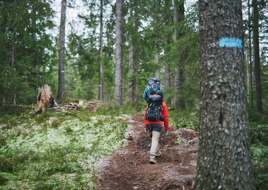 Blåmerka sti, Nordmarka