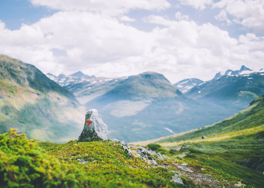 rød t i vakkert fjellandskap