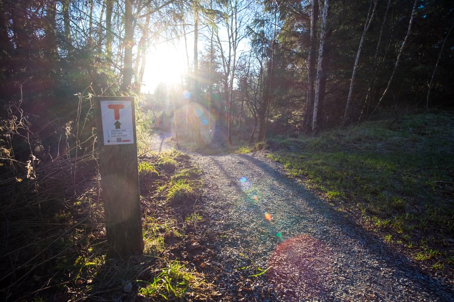 Solen skinner ned mot en tursti. Lang stien står den en stople som er merket med rød T, på hvitt skilt. 