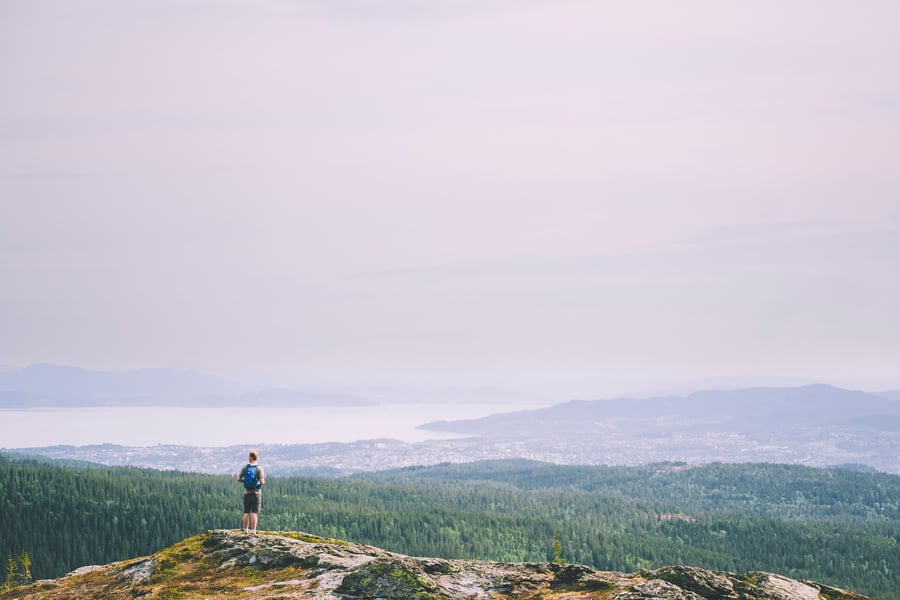 Bildet viser en vid utsikt over et granskoglandskap, som strekker hele veien mot en fjord i bakgrunnen. I forgrunnen står en mann på en bakkekant og ser utover, med ryggsekk på. 