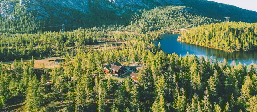 Hytte i landskap med trær og vann