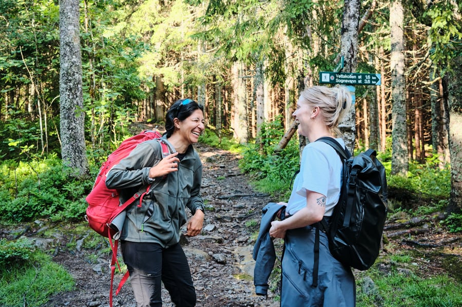 Fuglemyrhytta, juni 2024.