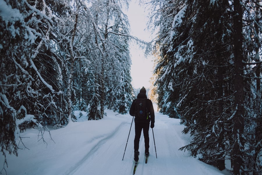 Fra Mylla til Sinnerdammnen, Vinter, februar 2025.
