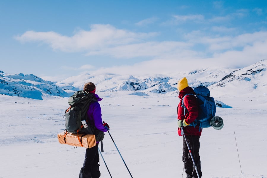 To mennesker på ski ser ut mot vinterlandskap