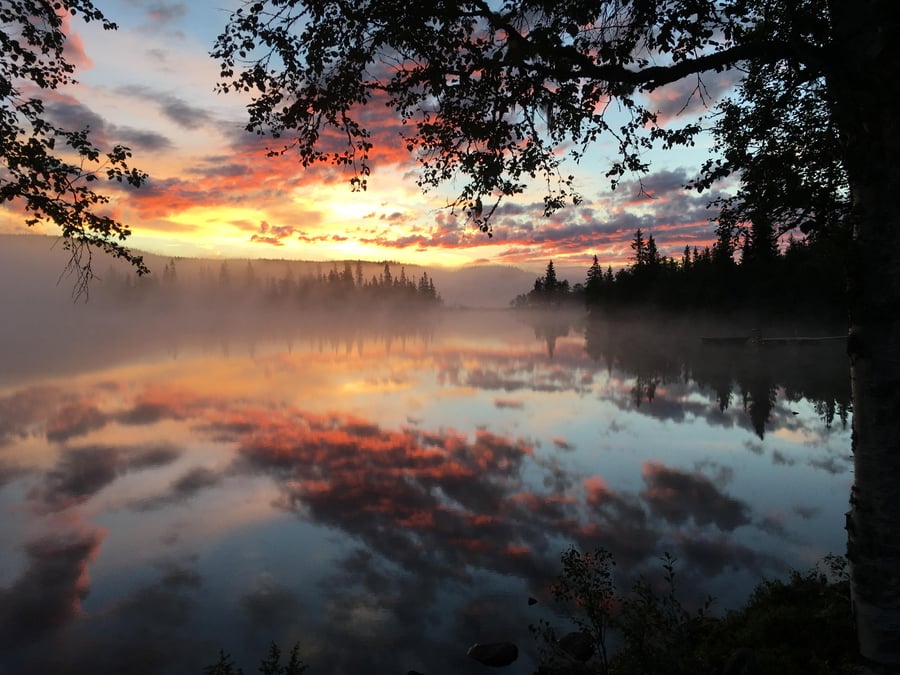 Trolsk stemning en tidlig morgen  Øståsen, Hadeland | Bildet er fra DNTs fotokonkurranse-runder i 2016. 
