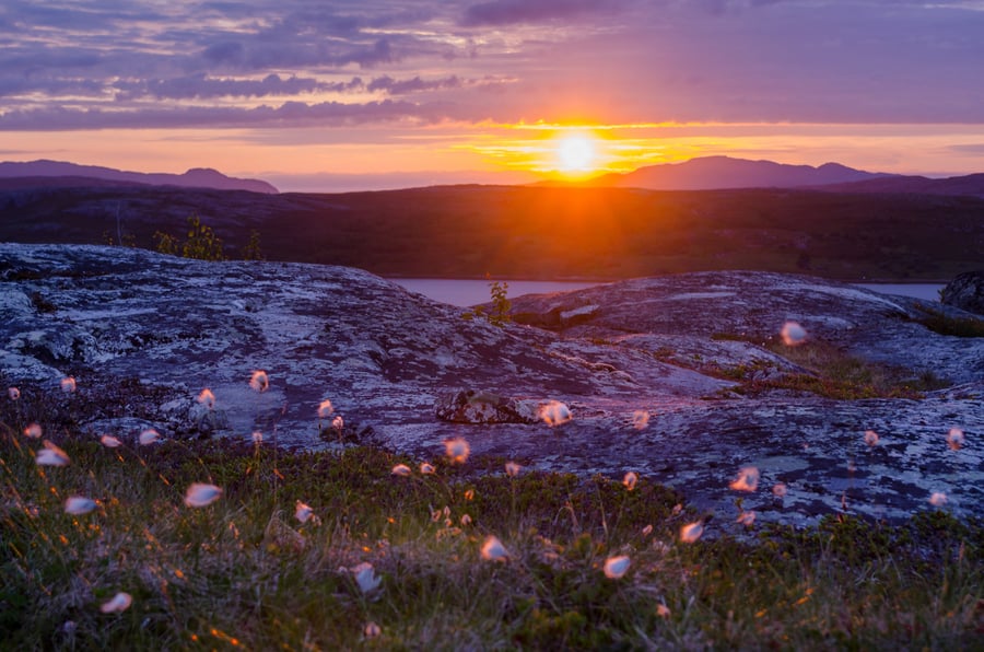 Høstfarger ved Tusenvikskaret i Sør-Varanger. Solnedgang i september måned.