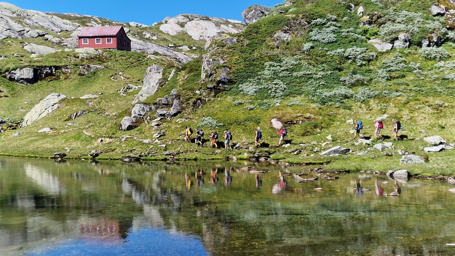 Årets beste bilder fra fellesturer i 2025 - turledernes egne bilder.