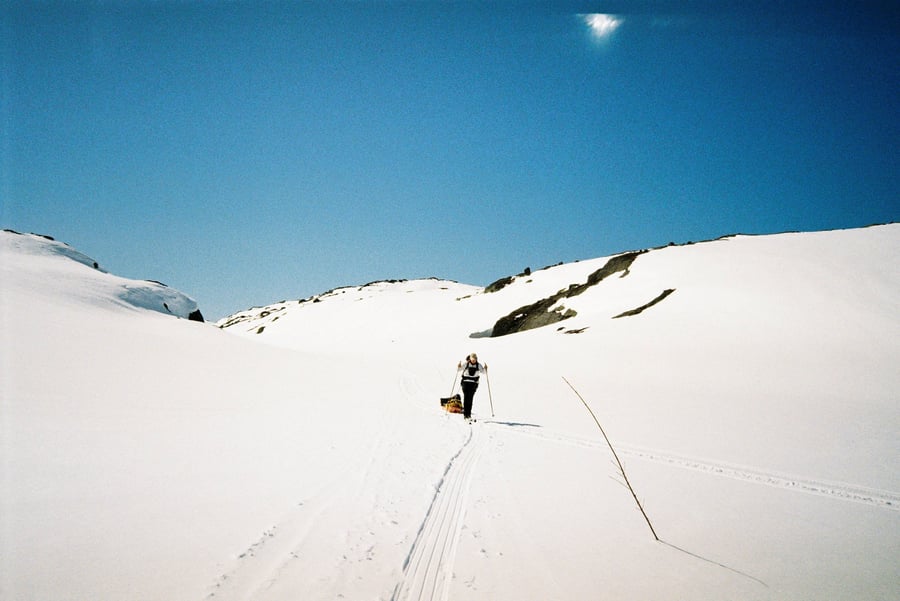 Diverse vinterbilder