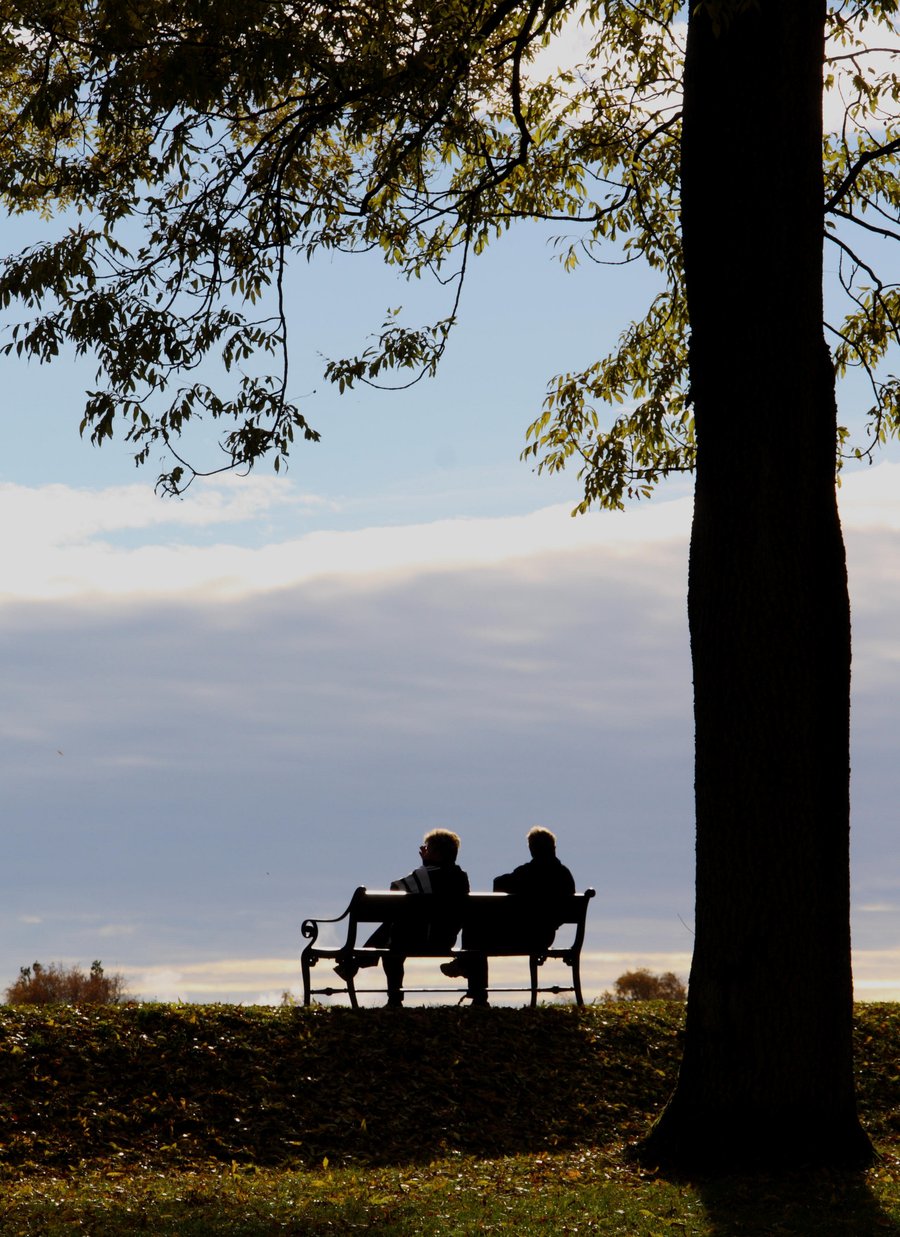 Rangle på vollene ved Gamlebyen i Fredrikstad? Her er miljøet gammelt men vakkert. Vollene innbyr til rolige spaserturer og passer absolutt alle aldersgrupper : gravide, handicappede, rullestolbrukere, blinde og svaksynte. Anbefales ! [p-iva@online.no, 91699713] Fotokonkurranse høst 2011
Ung på full fart i friluft