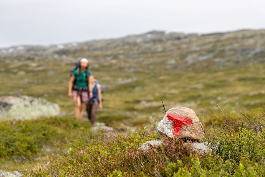 Sommeråpning på Stavali turisthytte på Vestvidda, 28. juni 2025.