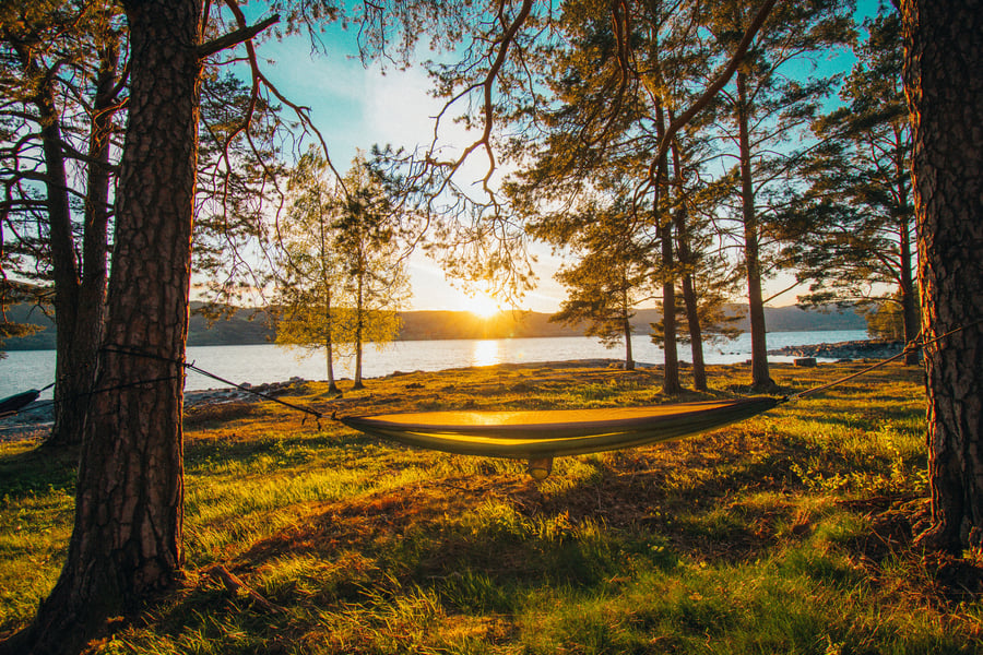 Uteområdet ved Morskogen.