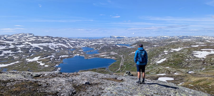 Sommer på Fine