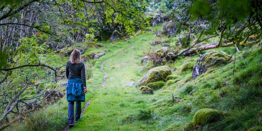 En kvinne går med ryggen til nedover en gress-sti i en skog.