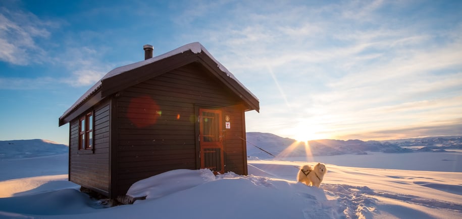 Foto. En liten brun hytte med en hun utenfor. Snø og blå himmel