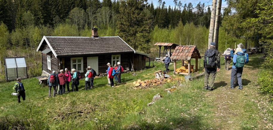 Onsdagsgruppa