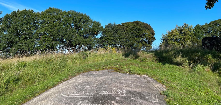En fjellknaus med helleristninger og trær i bakgrunnen. Foto. 