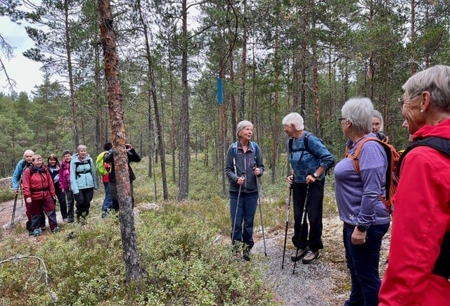Gruppe med eldre mennesker på tur i regnvær