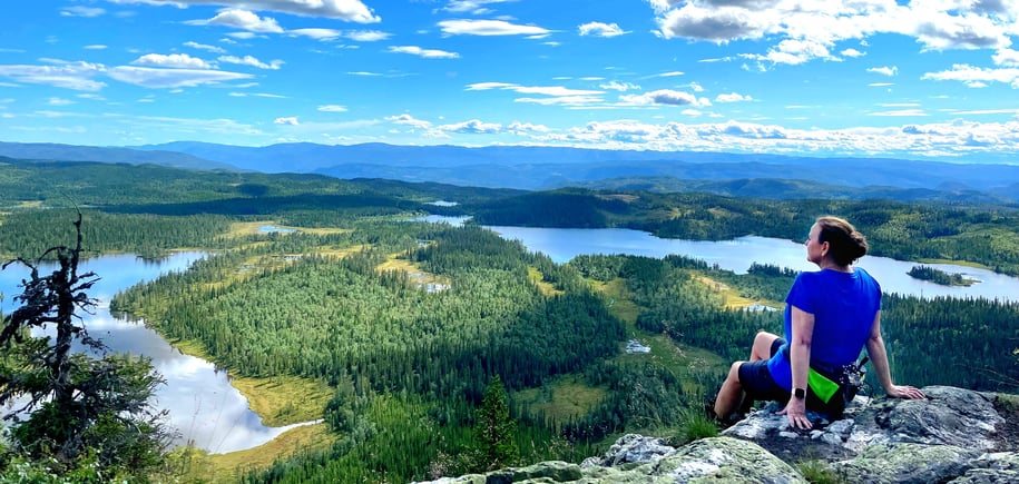 Utsikt fra knausen vest for branntårnet.