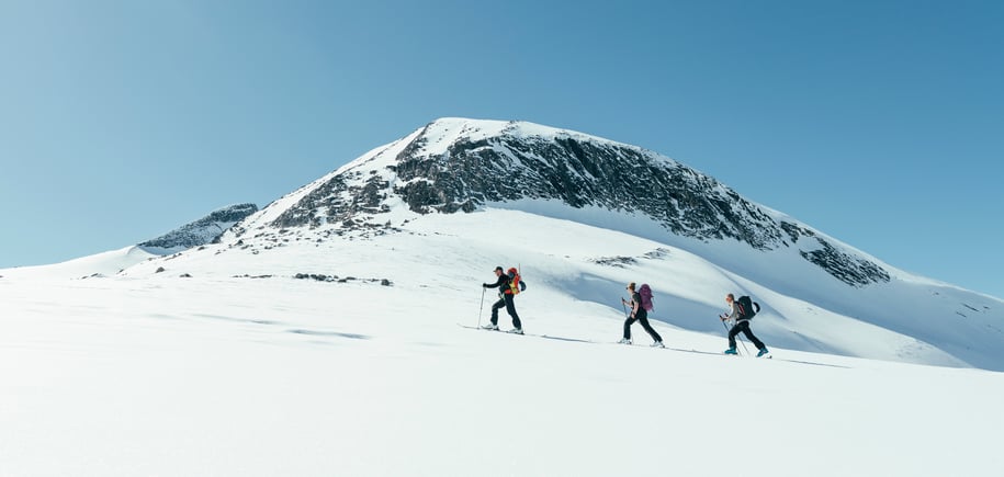 Gjeng på ski i snødekt landskap med fjelltopp i sikte