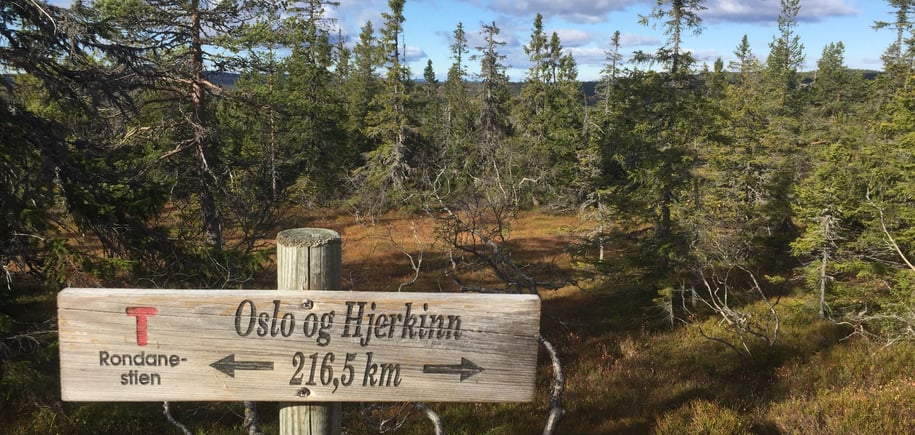 Skilt Rondanestien