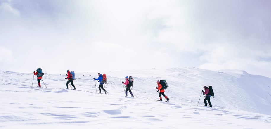 Skiløpere på rekke og rad i hvitt vinterlandskap