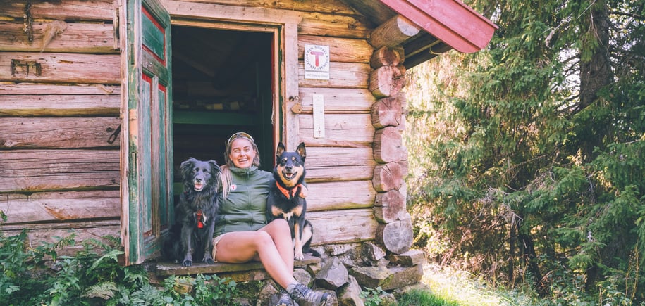 Hund foran hytte i skogen