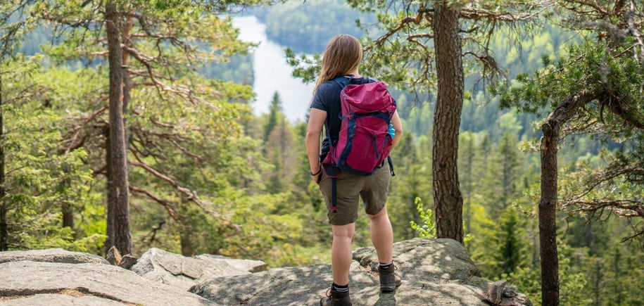 Topptur til Tonekollen i Østmarka
