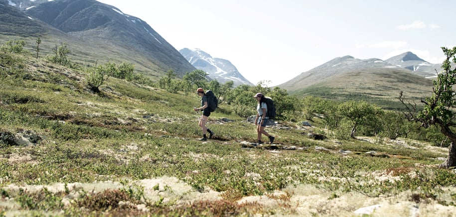 fra ny stueåpning på bjørnholia