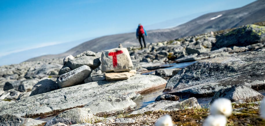 Bilder fra fjellferie 2019. 