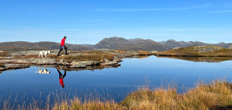 Grøet i Samnangerfjella, Knut Langeland og Max