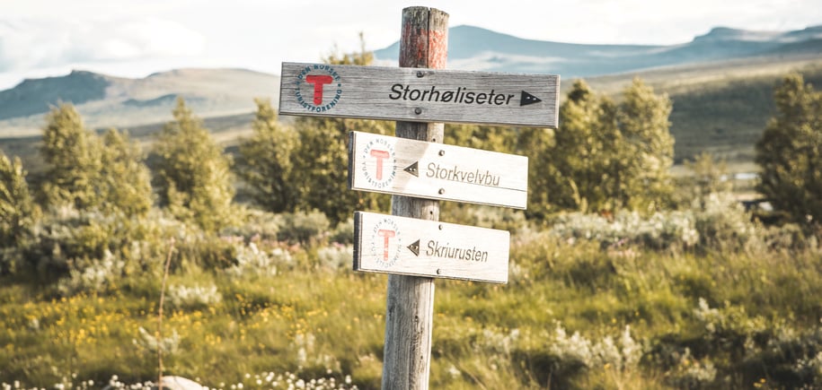 Storhøliseter 

En hytte på Omveien - den nye langruta fra Lillehammer i øst til Sognefjorden i vest, en rute hvor man krysser Fjell-Norge på tvers og får oppleve det mest spektakulære landet har å by på.