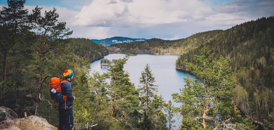 Mann ser utover skogsvann