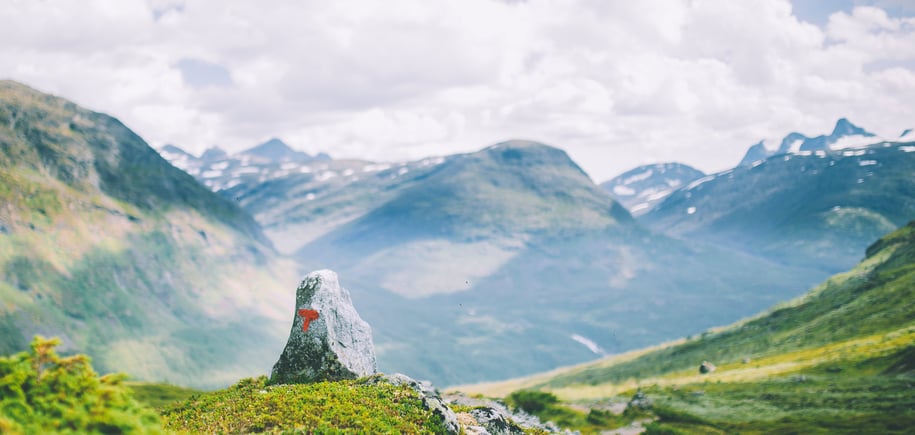 rød t i vakkert fjellandskap
