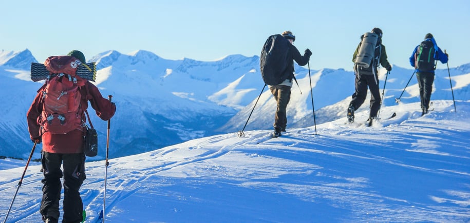 Nasjonal turledersamling Romsdalen DNTung 2018