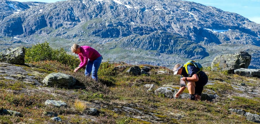 Fellestur til Jonstølen i Suldal for 60+