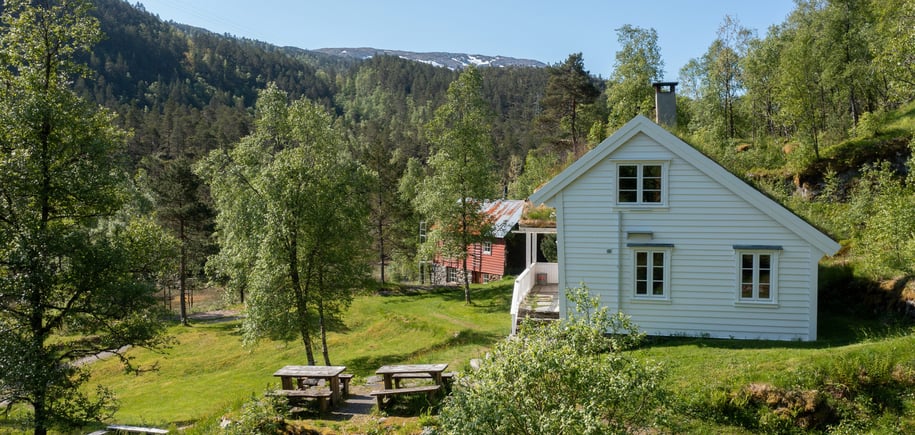 Træet gård, juni 2023.