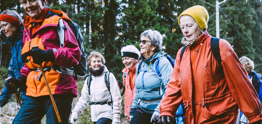 Gjeng seniorer på tur i skogen