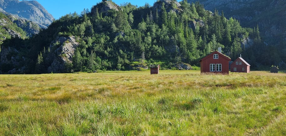 Kvanndalen, august 2022.