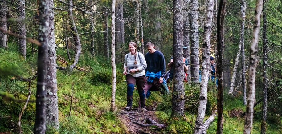 To personer som går på en sti gjennom en skog