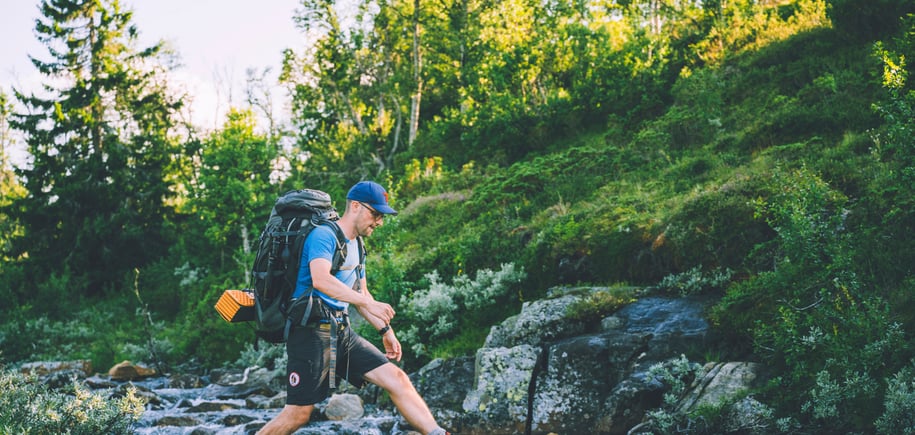 Fra ruta mellom Høgevarde og Toveseter. Sommeren 2021.