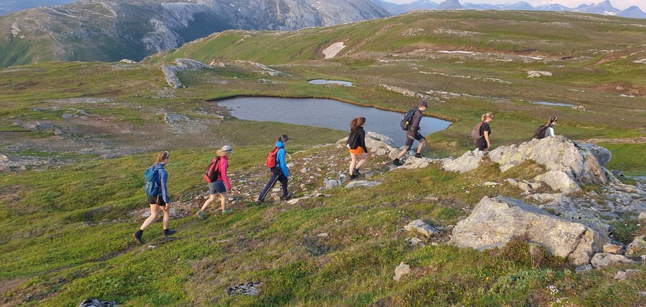 Et turfølge som er på vei ned fra Skautuva. Grønt gress og fjellutsikt.