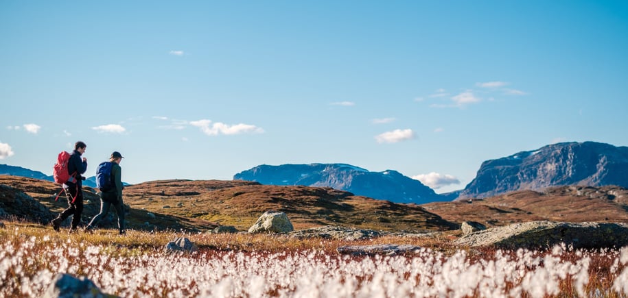 Høst ved Haukeliseter, bilder fra tur rundt Venaretjønn, på norsiden av hytta.