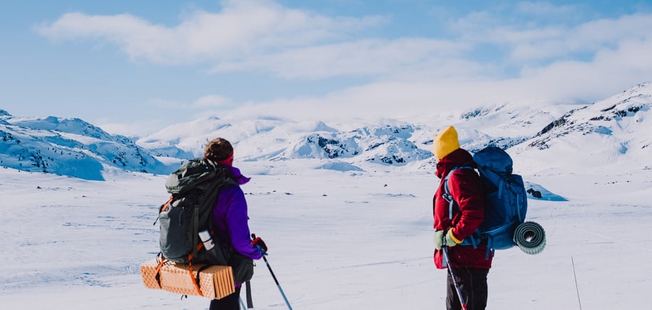 To mennesker på ski ser ut mot vinterlandskap