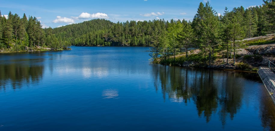 bilde av et mindre vann med granskog rundt. det er blå himmel som som gjenspeiles i vannet