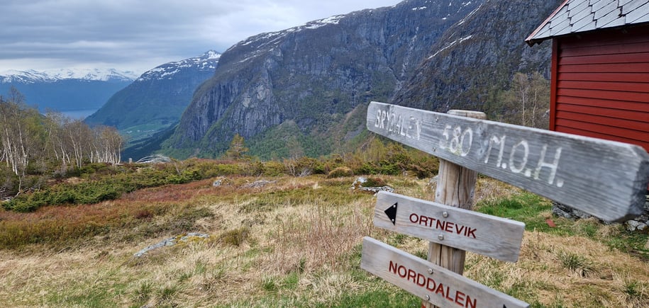 Brydalseter opp fra Ortnevik - vår 2023